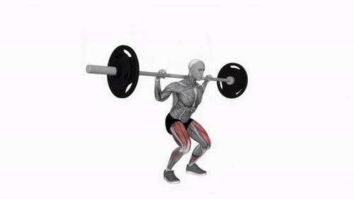 Barbell Low Bar Squat fitness exercise workout animation video male muscle highlight 4K 60 fps