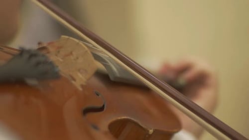 Violinist Playing Violin During An Event. - close up