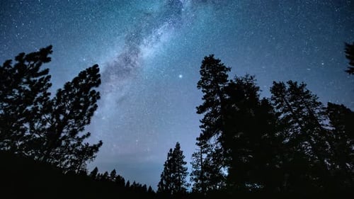 Time Lapse - Beautiful Milky Way Galaxy above Trees