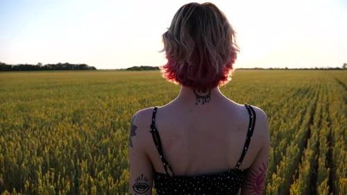 Young Female Hipster with Pink Hair Standing on Green Barley Field at Sunset Carefree Punk Girl with