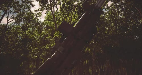 Focused View of a Firearm Resting Among Dense Foliage During Daylight