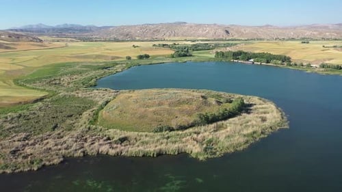 Aerial View Of The Lake Covered With Reeds