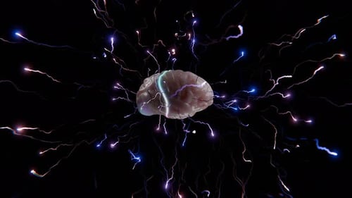 Animated Human Brain with Electric Neural Network Activity