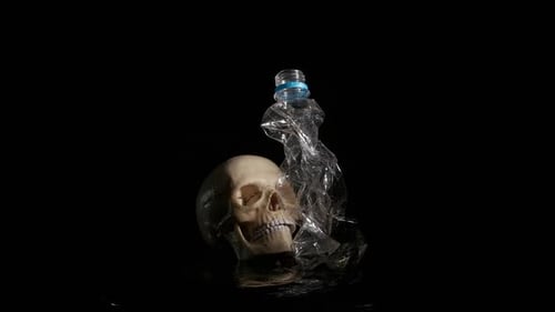 Human Skull Beside Plastic Bottle on Reflective Surface