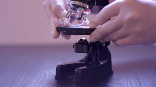 Close up of scientist prepare and calibrate the microscope for the specimen.