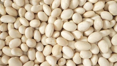 Pile of Dry White Beans, Close Up