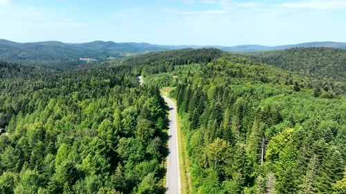 Aerial View An Empty Road Without Cars Passing Through the Mountains in an Endless Forest Massif
