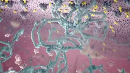 Microscopic Protein Synthesis and Molecule Formation