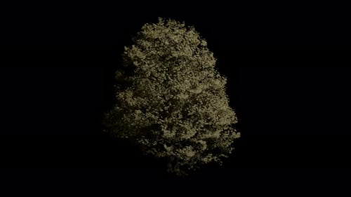 Realistic 3D Tree with Swaying Leaves