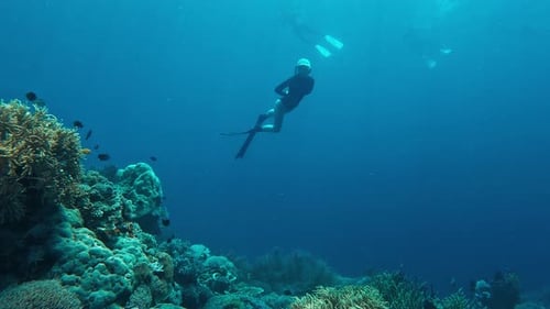 Woman Freediver Swims in the Sea