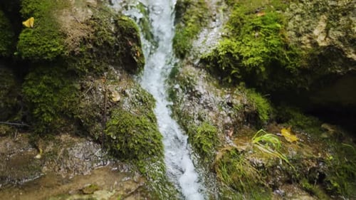 Wasserstrahl zwischen Felsen und Moos in einem grünen Wald. Zeitlupe
.