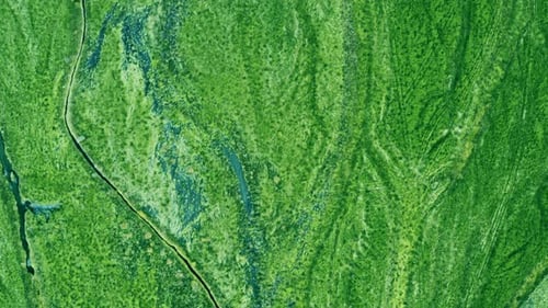 Aerial : Stunning shot of green delta. Aerial view of river estuary or delta from the top.