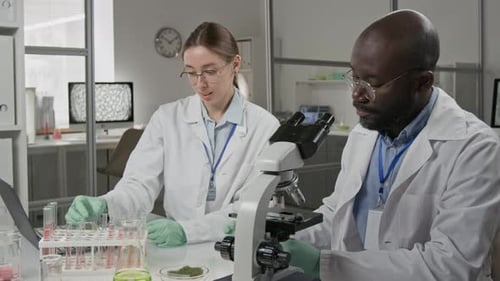 Scientists Working with Microscope and Test Tubes in Lab