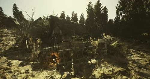 Abandoned Cabin in the Forest with Lantern and Overgrown Vegetation