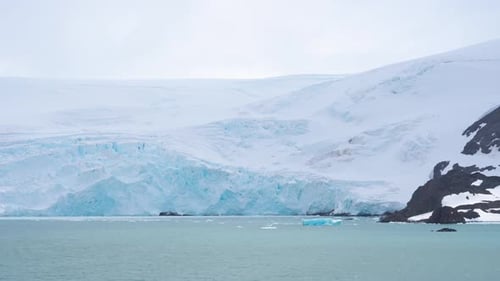 Antarctica Continent Large Ice Wall Glacier Floating Ice Iceberg Birds Fly By Scenic Landscape View