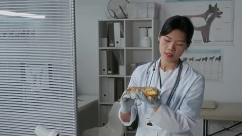 Veterinarian Holding Lizard in Animal Hospital Exam Room