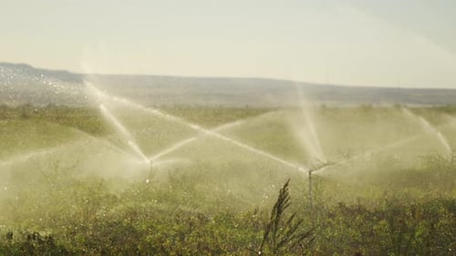 Field irrigation system. Sprinkler irrigation system.