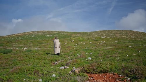 Hiker Walking Green Mountain Hill with Stick Contemplative Girl Admiring Nature