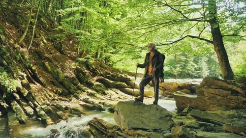 Senior Male Hiker with Backpack and Walking Poles Standing on a Large Rock