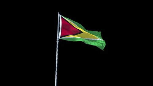 Guyana Flag Waving Realistic Animation