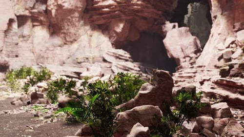 View From Inside a Dark Cave with Green Plants and Light on the Exit