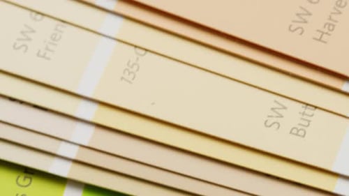 Color Pallet Choosing the Color By Designer Furniture Real Estate or Construction Works Creative