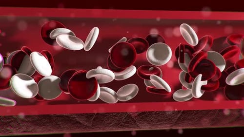 red blood and white blood mixed