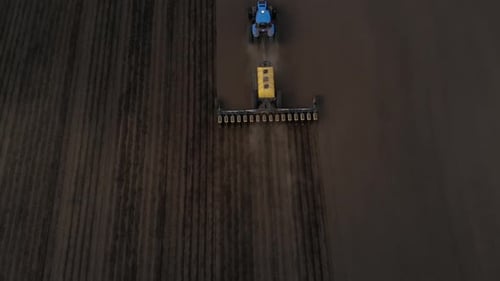 Blue tractor working on the field in Odessa in Ukraine during planting sunflower