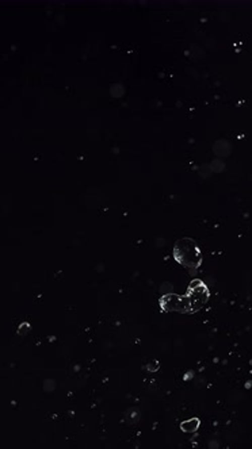 Water Droplets Rising Against a Black Background