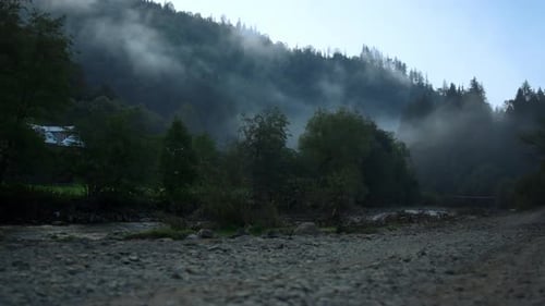 Fog covering mountain forest in slow motion on peaceful summer morning