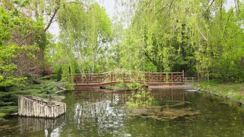 aerial spring park