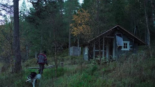 Cabin in the Woods with Person and Dog
