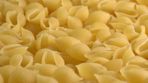 Dry Conchiglie Pasta Shells Close Up
