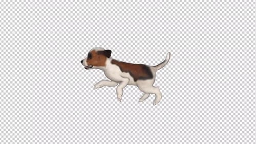 Puppy Run Transparent Background 2