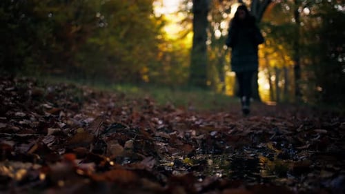 Solo hiker walking through autumn forest leaves and muddy path