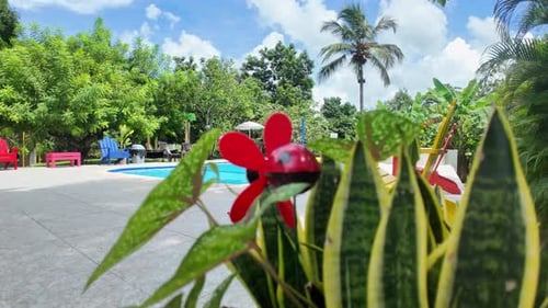 Backyard pool with colorful chairs revealed