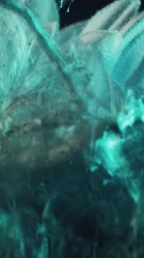 Turquoise Flower Submerged Under Flowing Water Close Up