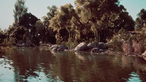 Calm River Flowing Through a Detailed Forest Landscape
