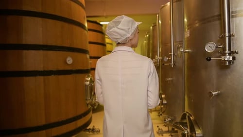 Vigneron professionnel contrôlant le processus de fabrication et la qualité du vin dans une usine vinicole