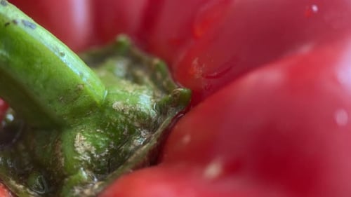 Macro Shot of a Fresh Red Bell Pepper