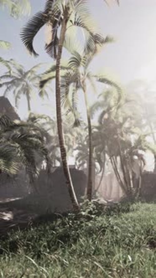 Tropical Palm Trees in Lush Jungle Forest Pan Upward