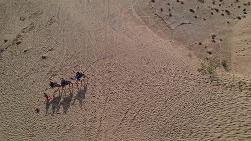 Vue aérienne d'une caravane de chameaux dans le désert