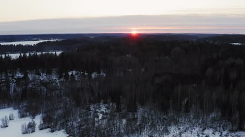 Aerial View Winter Coniferous Forest Sunset Over the Horizon