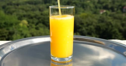 Orange juice is poured into a glass against the backdrop of a green summer forest. Slow motion.