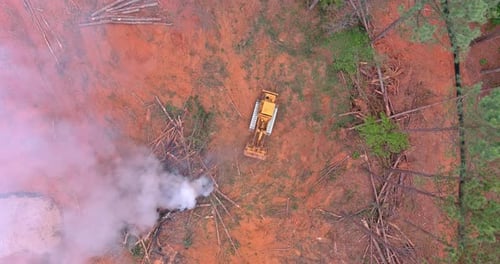 Clearing Land From Roots for a Subdivision Using Tractors Skid Steers Uprooted and Burning the