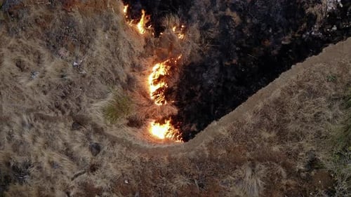 Epic aerial view of smoking wild fire. Large smoke clouds and fire spread. Forest and tropical jungl