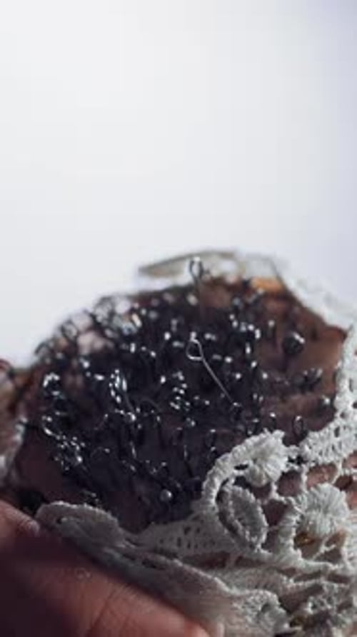 Weibliche Hand mit schönen Nägeln, die Stecknadeln aus dem weißen kleinen Nadelkissen ziehen.