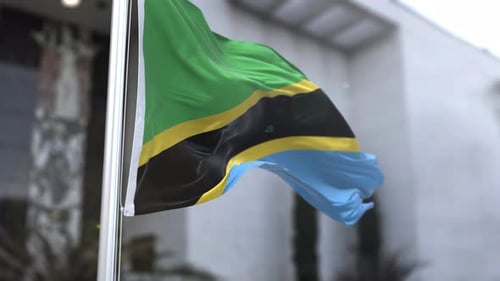 Realistic Waving Tanzania Flag