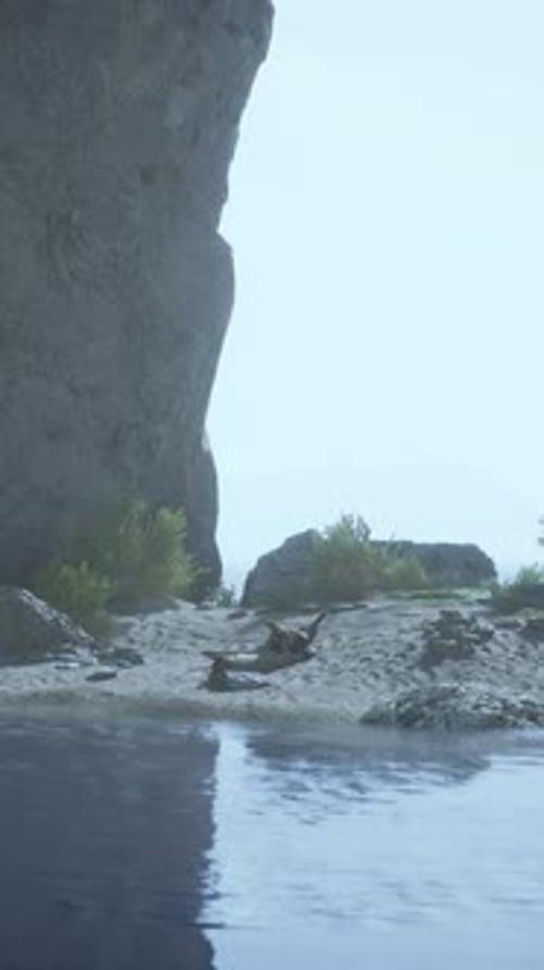 A Serene Landscape with a Tranquil Body of Water and Natural Elements