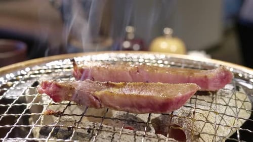 Meat Grilling on a Metal Grate
